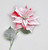 66cm Frosted Poinsettia Spray Red