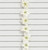 183cm Poinsettia Garland Cream