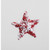10cm Frosted Berry Star Red