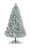 8' Laurent Spruce 922tips