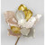 56cm Plush Magnolia Champagne