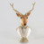 72cm Deer Head Fabric Orn. Champ