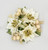 1" Poinsettia/Berry C/R Cream