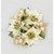 1" Poinsettia/Berry C/R Cream