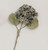 61cm Hydrangea Spray Green