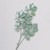 90cm Frosted Baby Schefflera Green