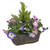 Morning Glory & Cypress Tree Window Basket Purple