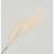 96cm Reed Grass Spray Cream