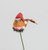 19cm Robin w/Hat Pick