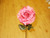Fuchsia Mesh Single Rose