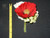 Poppy/Sweetpea Bouquet Red