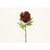 27" Peony Dk Red