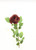 Large Rose Stem Burgundy