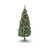 6ft Catskill Frost/Cone Tree 561T