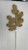 66Cm Peacock Leaf/Gem - Gold / Red