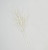 91cm Branch White