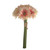 SORBET GERBERA BUNDLE X 8 PEACH
