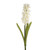 HYACINTH STEM CREAM 43CM