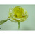 25cm Single Rose Yellow