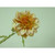 25cm Dahlia Orange