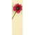 Fuchsia Gerbera Daisy