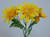 60cm Daisy Spray Yellow