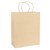 Kraft Paper Bag Brown (H32cm W26cm D12cm) - Pack of 10