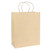Kraft Paper Bag Brown (H32cm W26cm D12cm) - Pack of 10
