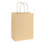 Kraft Paper Bag Brown (H23cm W18cm D10cm) - Pack of 10