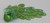 26cm Sequin/Berry Bird w/Clip Grn