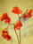 67cm Glitter Xmas Rose Spray Red