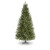 6ft St Louis Pine Tree 762T 350L