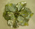 22cm Metallic Poinsettia w/Clip