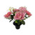 Essential Garden Mix Remembrance Grave Pot - Pink