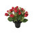 Essential Rose Mix Remembrance Grave Pot - Red