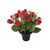 Essential Rose Mix Remembrance Grave Pot - Red