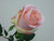 58cm Rose Bud Pink