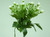 38cm Mini Bud Bush Cream