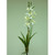66cm Orchid Bush Cream