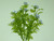 34cm Berry Bush Lavender
