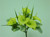 Cala Lily Bush x6 Yellow