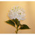 42" Cream Hydrangea