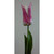 68cm Tulip Purple