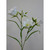 58cm Bell Flower Cream