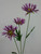 50cm Daisy x3 Lavender