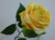 42cm Rose Spray Yellow