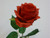 42cm Rose Spray Red