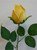 42cm Rosebud Yellow