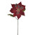 Poinsettia Red Tartan Stem 50Cm