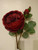 S65cm Peony Rose Red